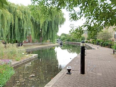 Picture 25